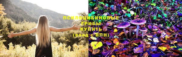 твердый Абинск