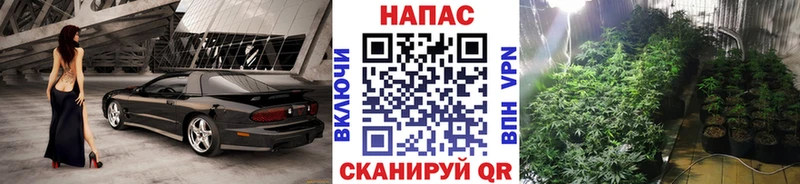 Шишки марихуана MAZAR  omg онион  Пыталово  хочу  